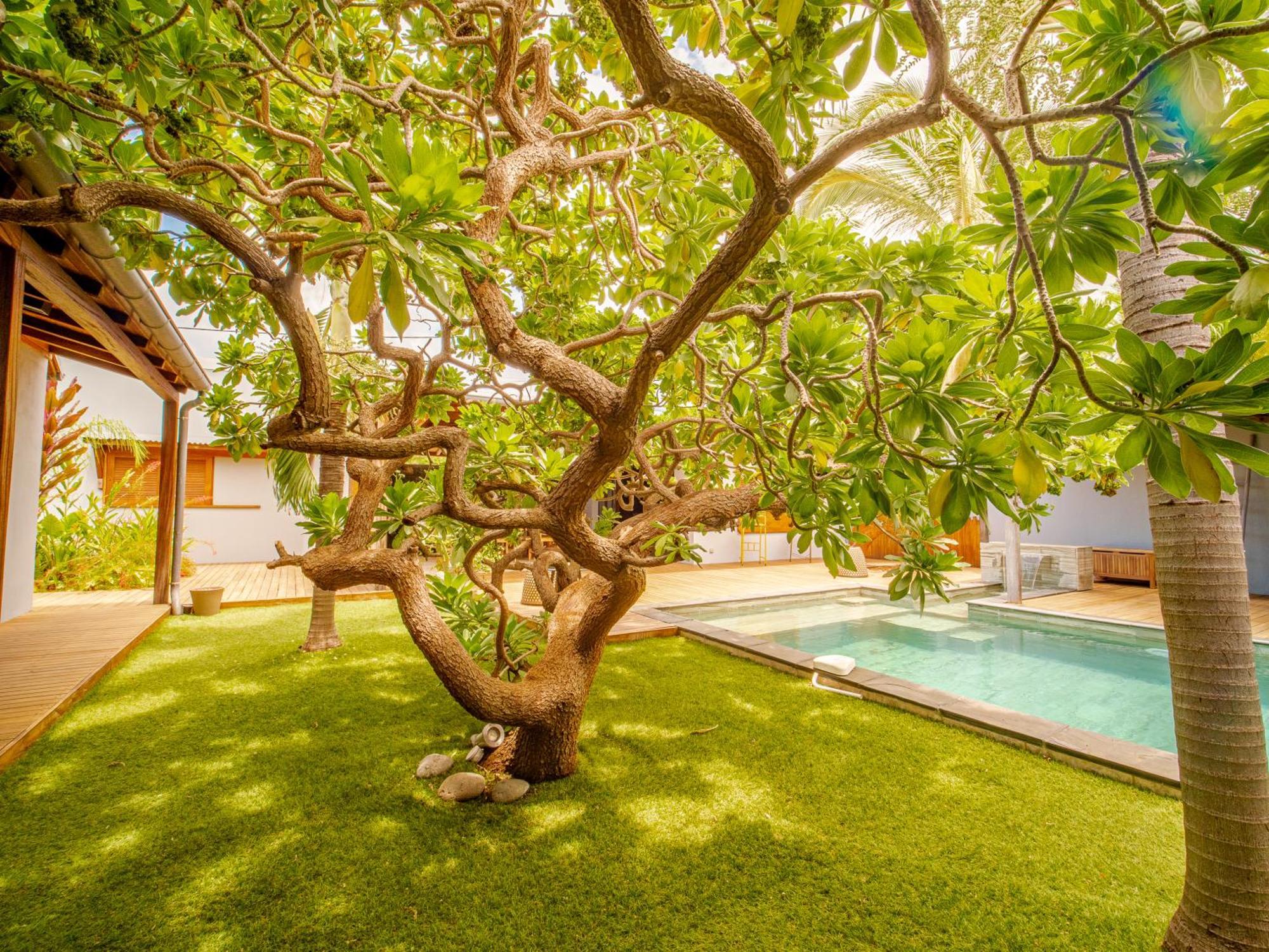 La Kaz Veloutier - Villa 4 Chambres Avec Piscine 라 살린 레 뱅 외부 사진